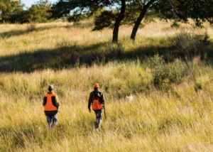 Quail hunting at Joshua Creek Ranch
